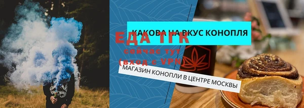 индика Новодвинск