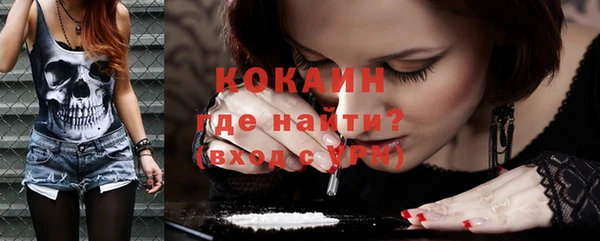 индика Новодвинск