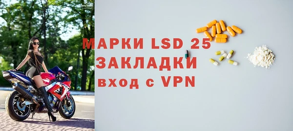 индика Новозыбков