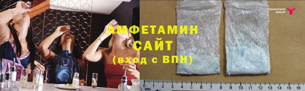 индика Новодвинск