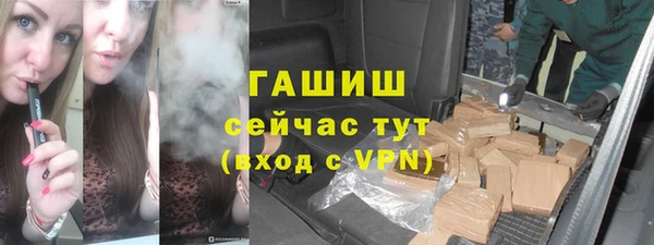 индика Новодвинск
