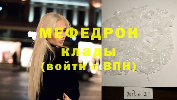 индика Новодвинск