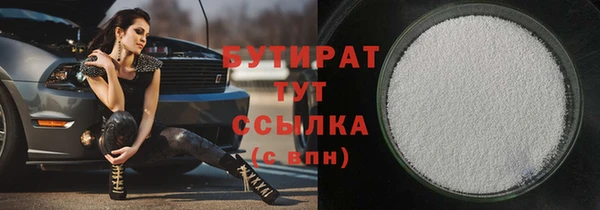 индика Новозыбков