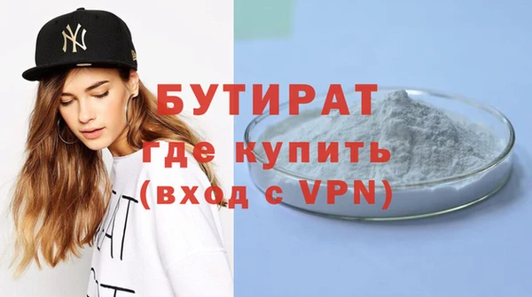 индика Новодвинск