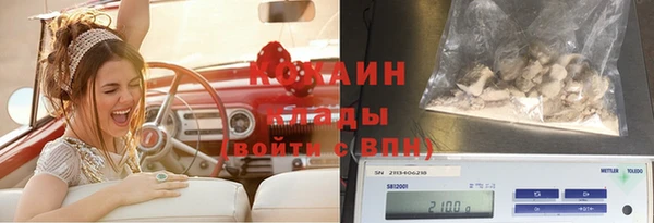индика Новозыбков