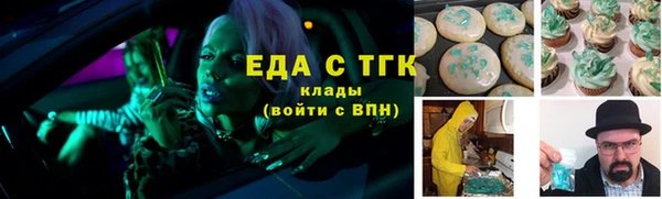 индика Новодвинск