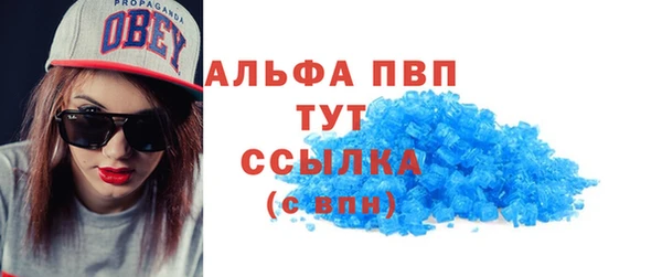 индика Новозыбков