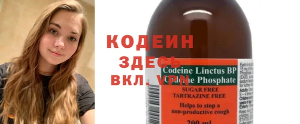 индика Новозыбков