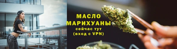 индика Новодвинск