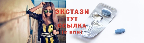 индика Новозыбков