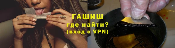 индика Новодвинск