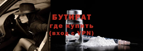 индика Новозыбков