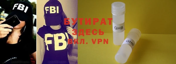 индика Новодвинск