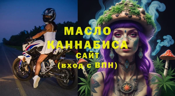 индика Новодвинск