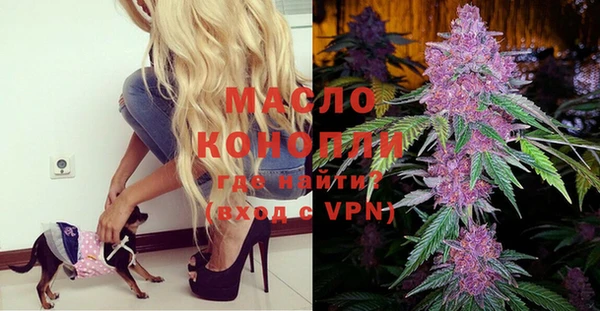 индика Новодвинск