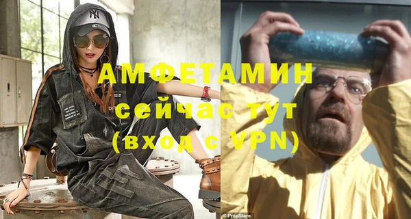индика Новодвинск