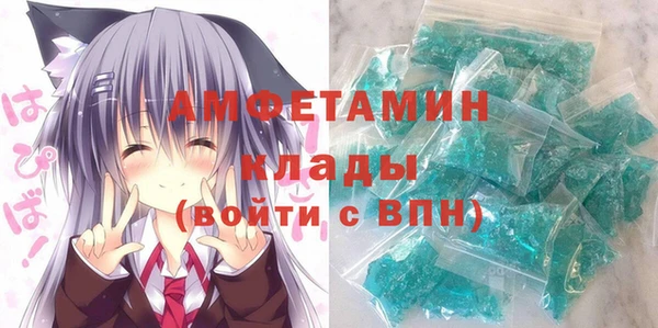 индика Новозыбков