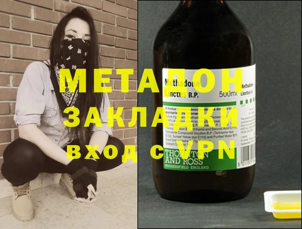 индика Новодвинск
