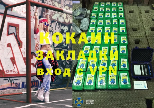 индика Новозыбков