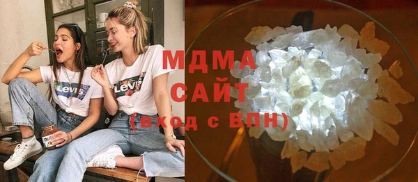 индика Новодвинск