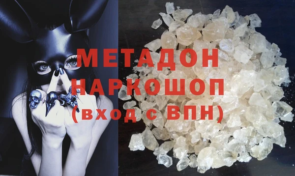 индика Новодвинск
