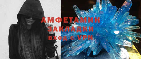 индика Новозыбков