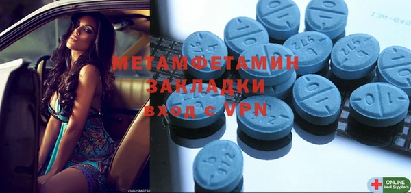 индика Новодвинск