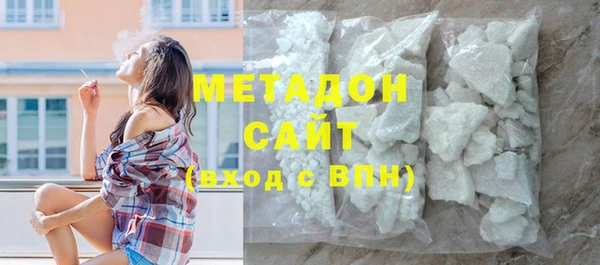 индика Новозыбков