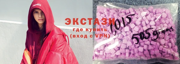 индика Новозыбков
