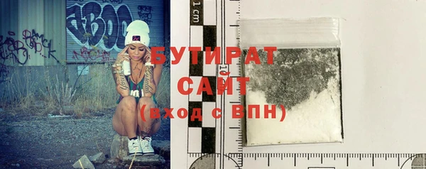 индика Новодвинск
