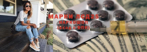 индика Новозыбков