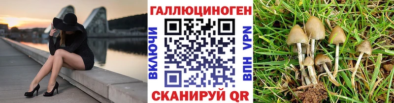 где можно купить   Южно-Сахалинск  Псилоцибиновые грибы ЛСД 