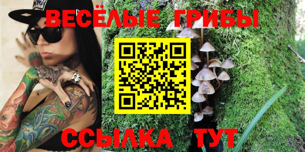 Южно-Сахалинск  Галлюциногенные грибы мицелий  Вход с VPN 