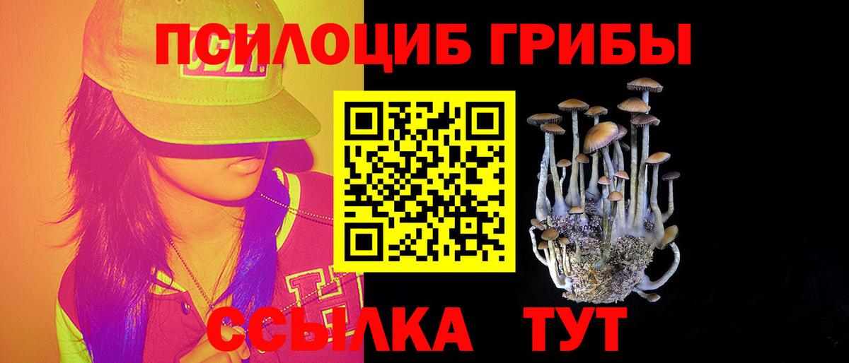Псилоцибиновые грибы мицелий Южно-Сахалинск